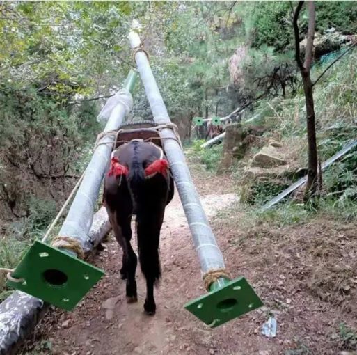 南平骡马运输队