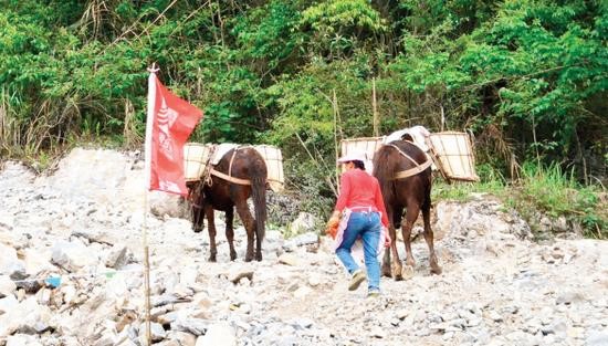 南平骡子运输队